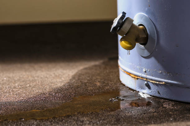 Best Fire Damage Restoration  in Escobares, TX