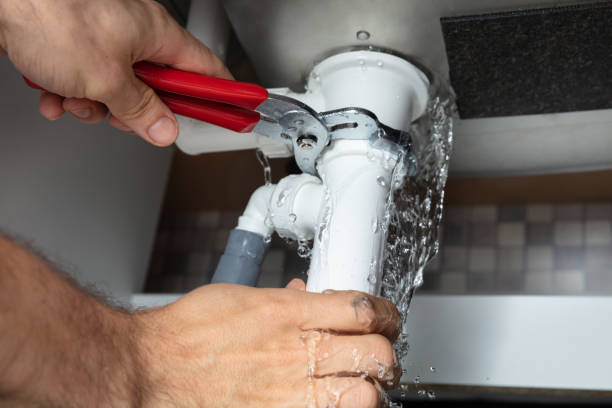 Best Residential water damage restoration  in Escobares, TX