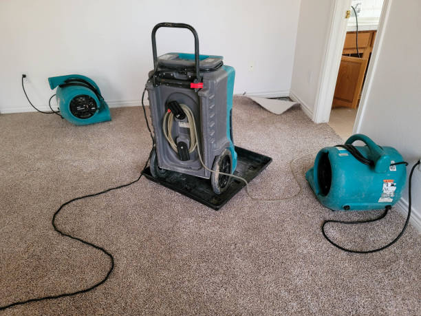 Best Mold removal after water damage  in Escobares, TX