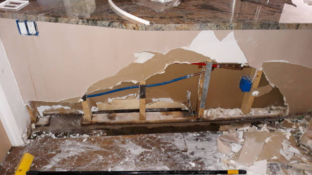 Best Emergency water damage restoration  in Escobares, TX