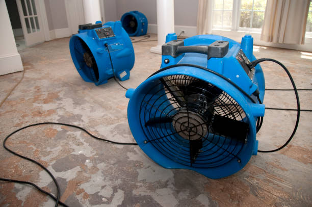 Best Flood damage cleanup  in Escobares, TX