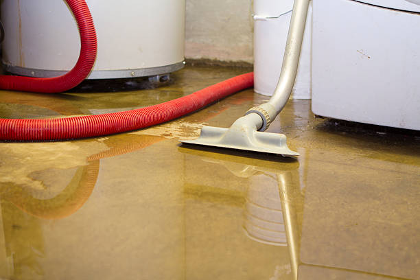 Best Water damage restoration near me  in Escobares, TX