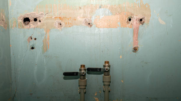 Best Basement water damage restoration  in Escobares, TX