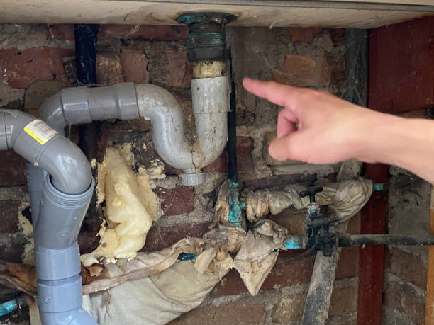 Best Water damage restoration specialists  in Escobares, TX